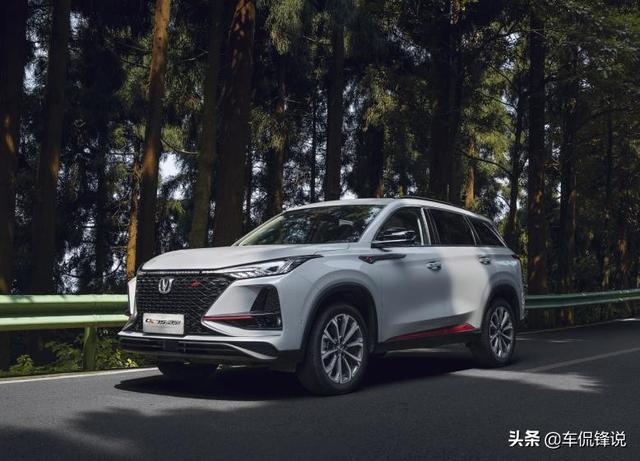 月落乌啼霜满天是什么生肖，详细解答、实证解答解释落实