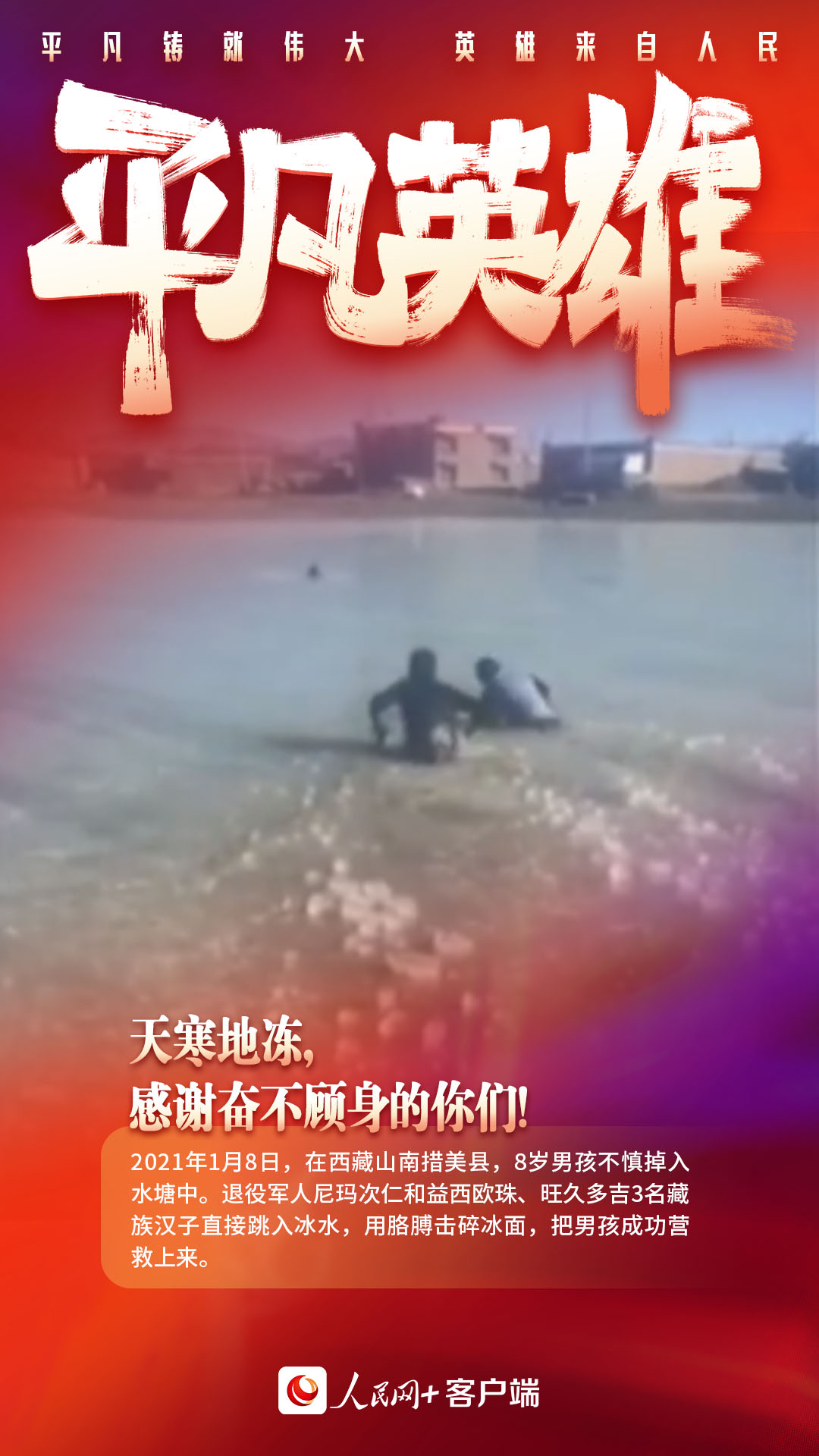英雄见惯也平常,循循善诱最理想指什么生肖，全面释义、前沿解答解释落实