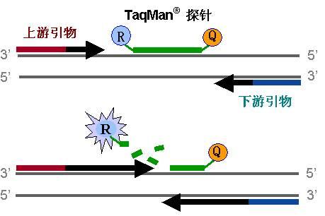 诛求无厌是什么生肖的警惕虚假宣传-全面释义、定量解答解释落实