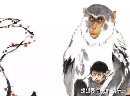 分猴禽起千鈞棒遭插莱萸少一人打一正确生肖精选解析、解释与落实、科学解答解释落实